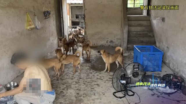 门徒平台登录：3年才怀上的试管婴儿，突然不幸流产！上海41岁女子将邻居告了