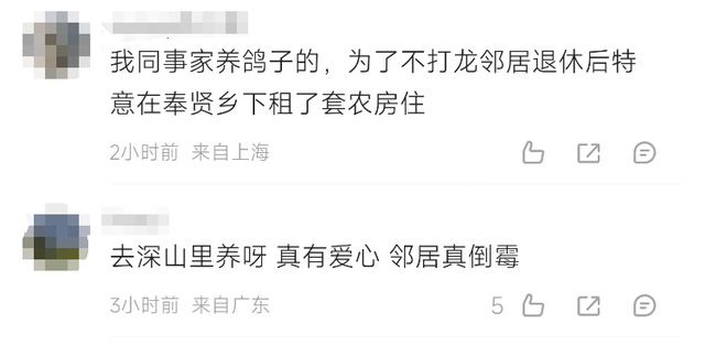 门徒平台登录：3年才怀上的试管婴儿，突然不幸流产！上海41岁女子将邻居告了